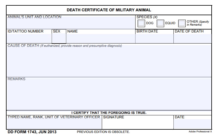 dd Form 1743 fillable