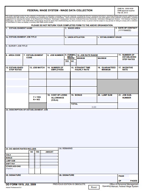 dd Form 1919 fillable