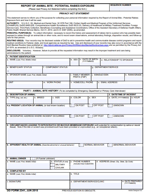 dd Form 2341 fillable