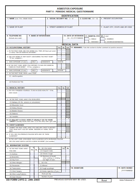 dd Form 2493-2 fillable