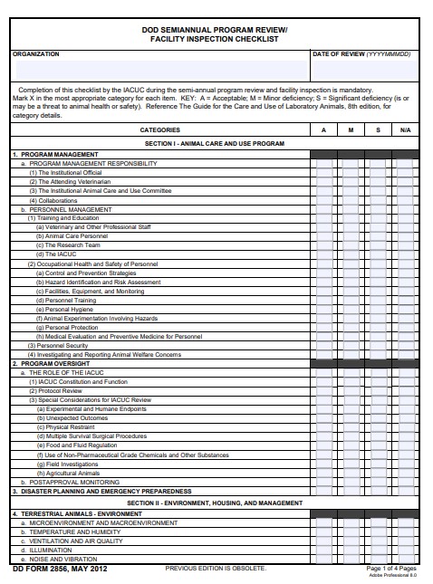 dd Form 2856 fillable