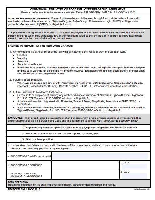 dd Form 2971 fillable